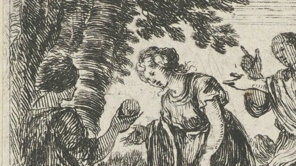 Lá Mặt Trời trong Tarot và bài học phát triển bản thân